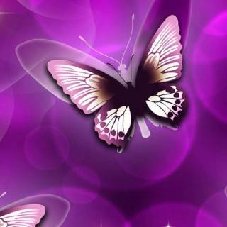 Butterflies phone wallpaper