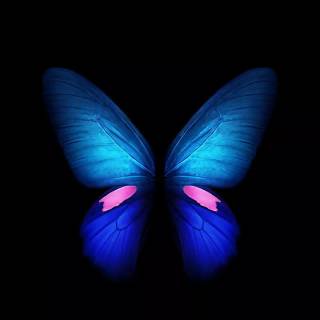 Butterflies phone wallpaper