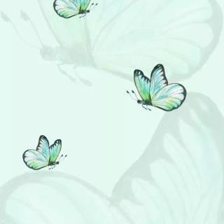 Butterflies phone wallpaper