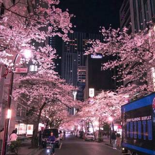 Tokyo Japan iPhone wallpaper