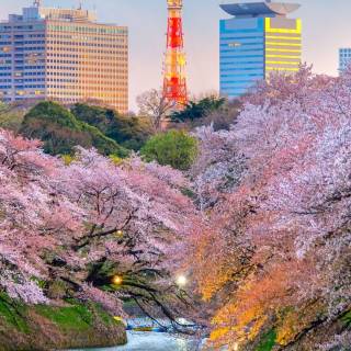 Tokyo Japan iPhone wallpaper