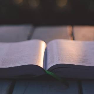 Reading 4k wallpaper