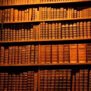 Reading 4k wallpaper