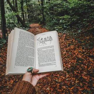 Reading 4k wallpaper