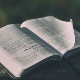 Reading 4k wallpaper