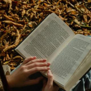 Reading 4k wallpaper