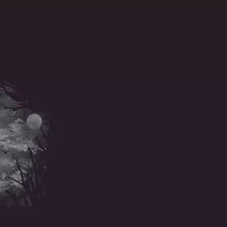 Sad forest wallpaper