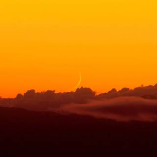 Orange desktop 4k wallpaper