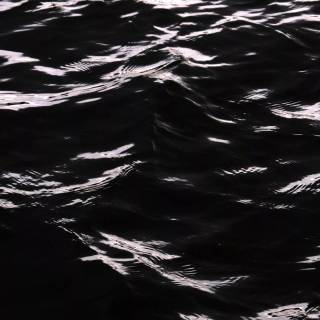 4k black and white PC wallpaper