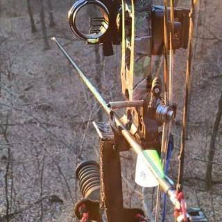 Bows iPhone wallpaper