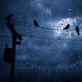 Dark rain 4k wallpaper