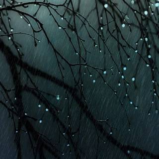 Dark rain phone wallpaper