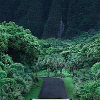 Mr Bean phone wallpaper