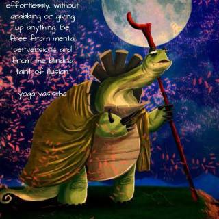 Master Oogway iPhone wallpaper