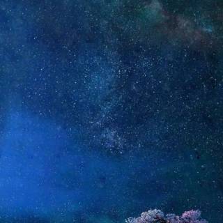 Master Oogway iPhone wallpaper