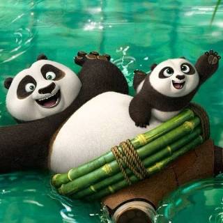 Cool Kung Fu Panda iPhone wallpaper