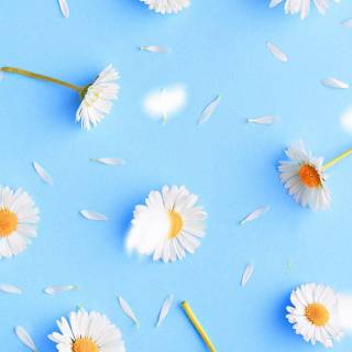 Blue yellow phone wallpaper