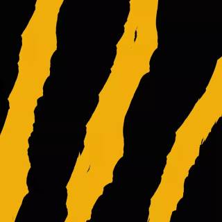 Black and yellow iPhone wallpaper