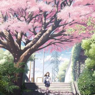 Aesthetic girls iPhone wallpaper