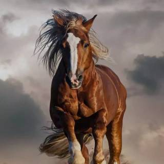 Run iPhone wallpaper