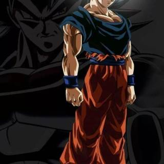 DBZ iPhone 11 wallpaper