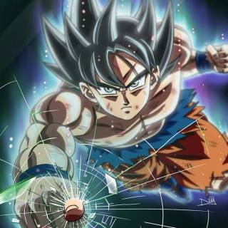 DBZ iPhone 11 wallpaper