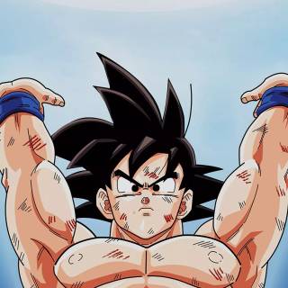 DBZ iPhone 11 wallpaper