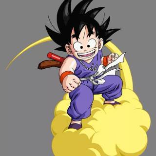 DBZ iPhone 11 wallpaper