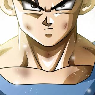 DBZ iPhone 11 wallpaper