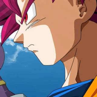 DBZ iPhone 11 wallpaper