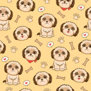 Shih Tzu 4k wallpaper