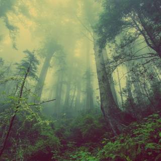 4k ambience wallpaper