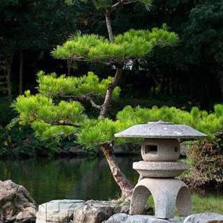 Japan nature phone wallpaper