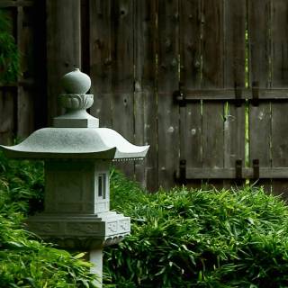 iPhone garden wallpaper