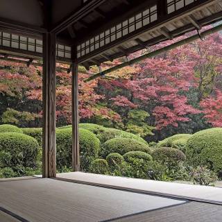 Zen garden 4k wallpaper