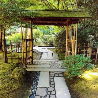 Japanese landscape phone wallpaper
