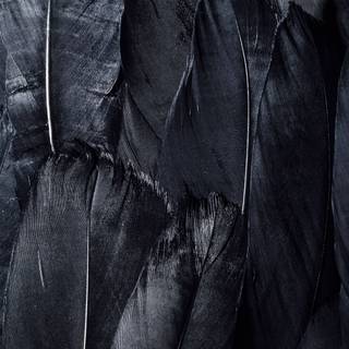 Mobile black 4k wallpaper