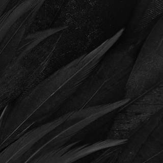 Mobile black 4k wallpaper