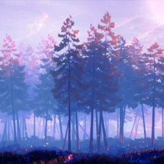 Pine forest 4k wallpaper