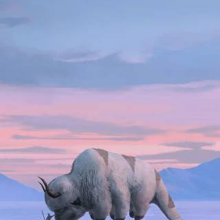 The Last Airbender phone wallpaper