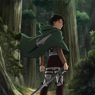 Attack On Titan Levi phone wallpaper