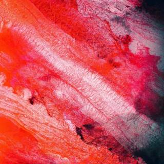 Red theme iPhone wallpaper