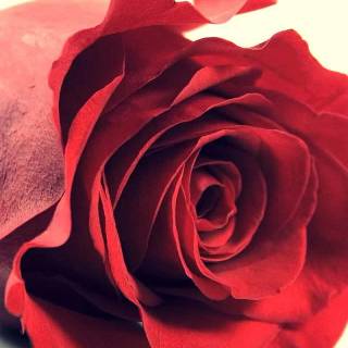 Red theme iPhone wallpaper