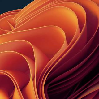 iPhone 11 orange wallpaper