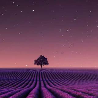 Purple night phone wallpaper