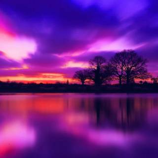 Purple night phone wallpaper