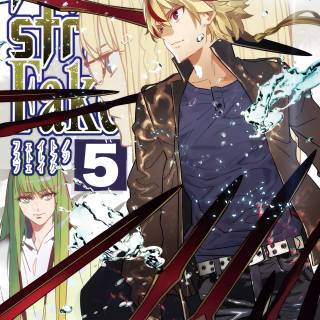 Fate/strange Fake wallpaper