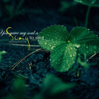 Bible verse PC wallpaper