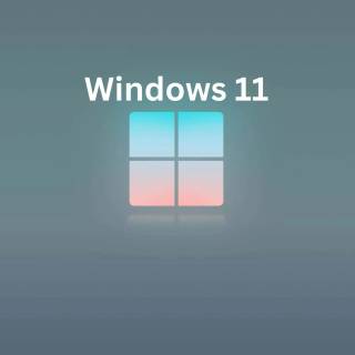 Windows 11 grey wallpaper