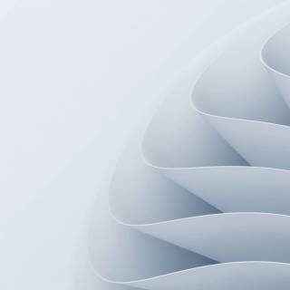 Windows 11 grey wallpaper